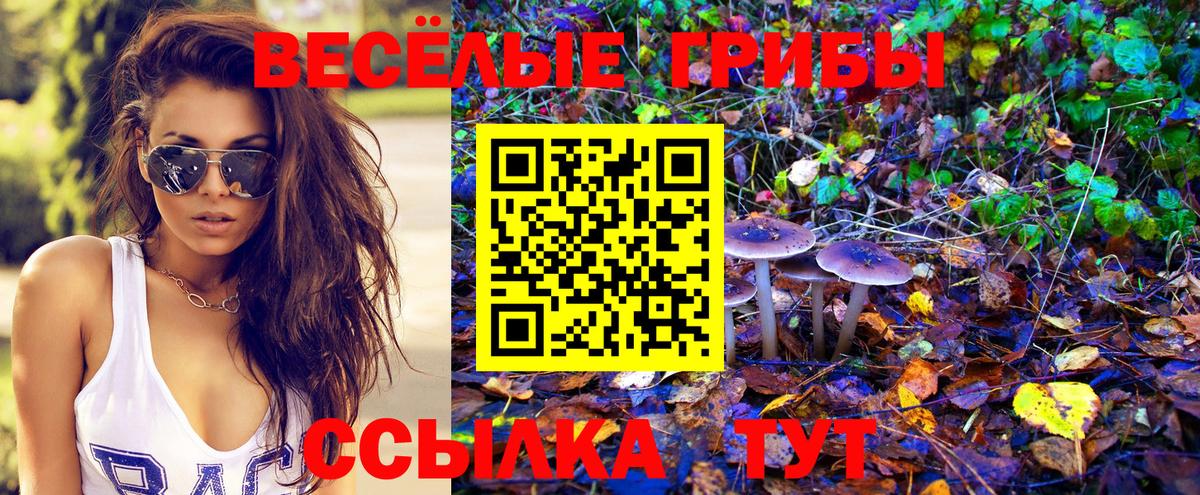 Галлюциногенные грибы Magic Shrooms Псков